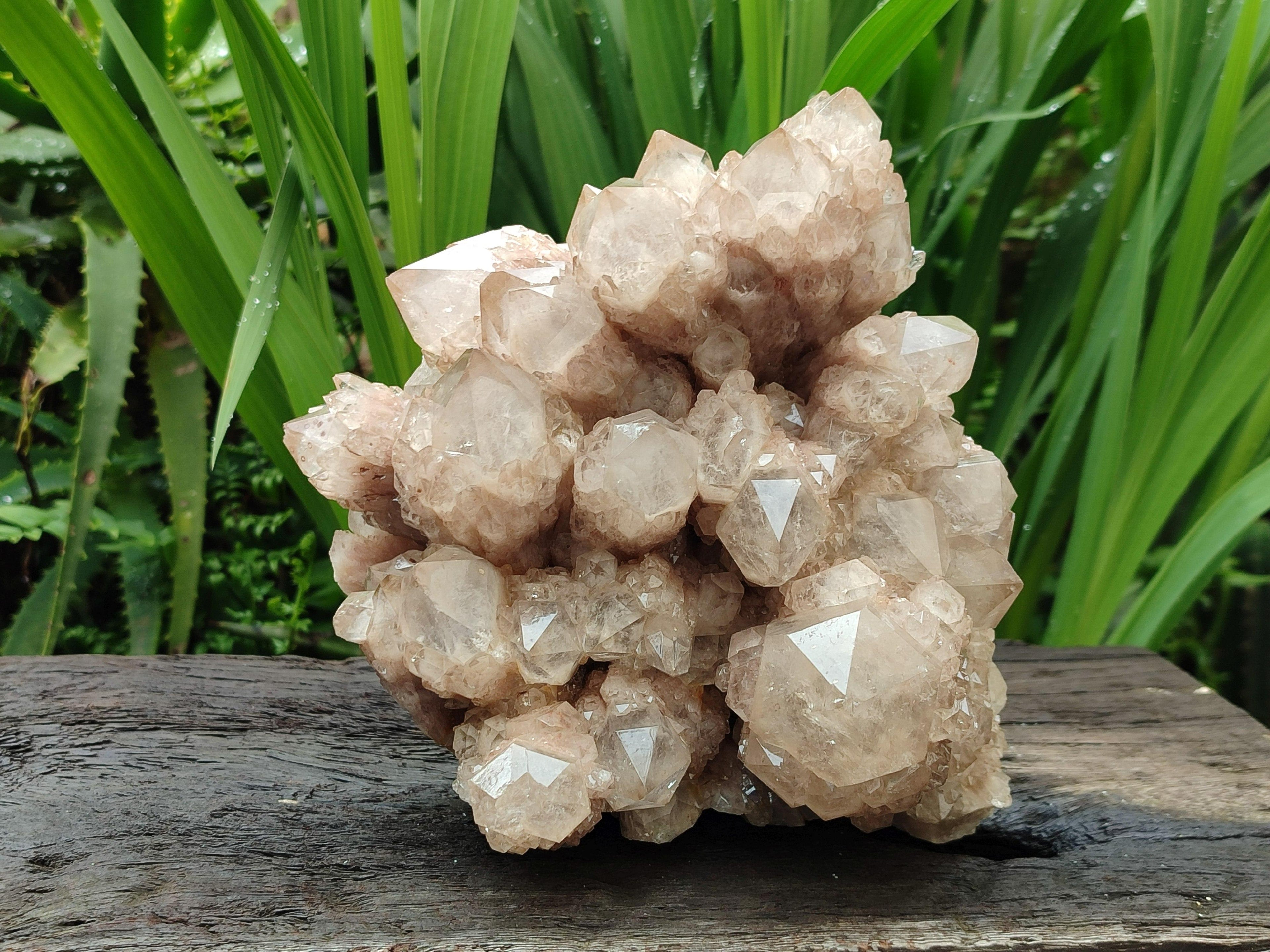 Natural XL Luena Cascading Smokey Phantom Quartz Cluster x 1 From Congo