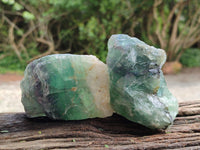 Natural Watermelon Fluorite Cobbed Specimens x 12 From Uis, Namibia
