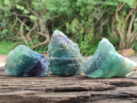 Natural Watermelon Fluorite Cobbed Specimens x 12 From Uis, Namibia