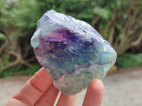 Natural Watermelon Fluorite Cobbed Specimens x 12 From Uis, Namibia