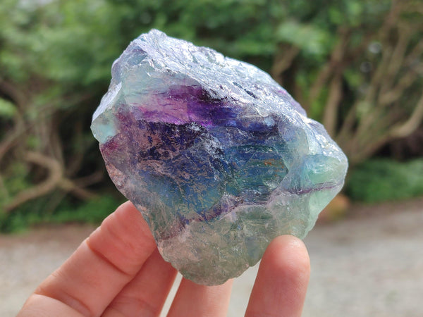 Natural Watermelon Fluorite Cobbed Specimens x 12 From Uis, Namibia