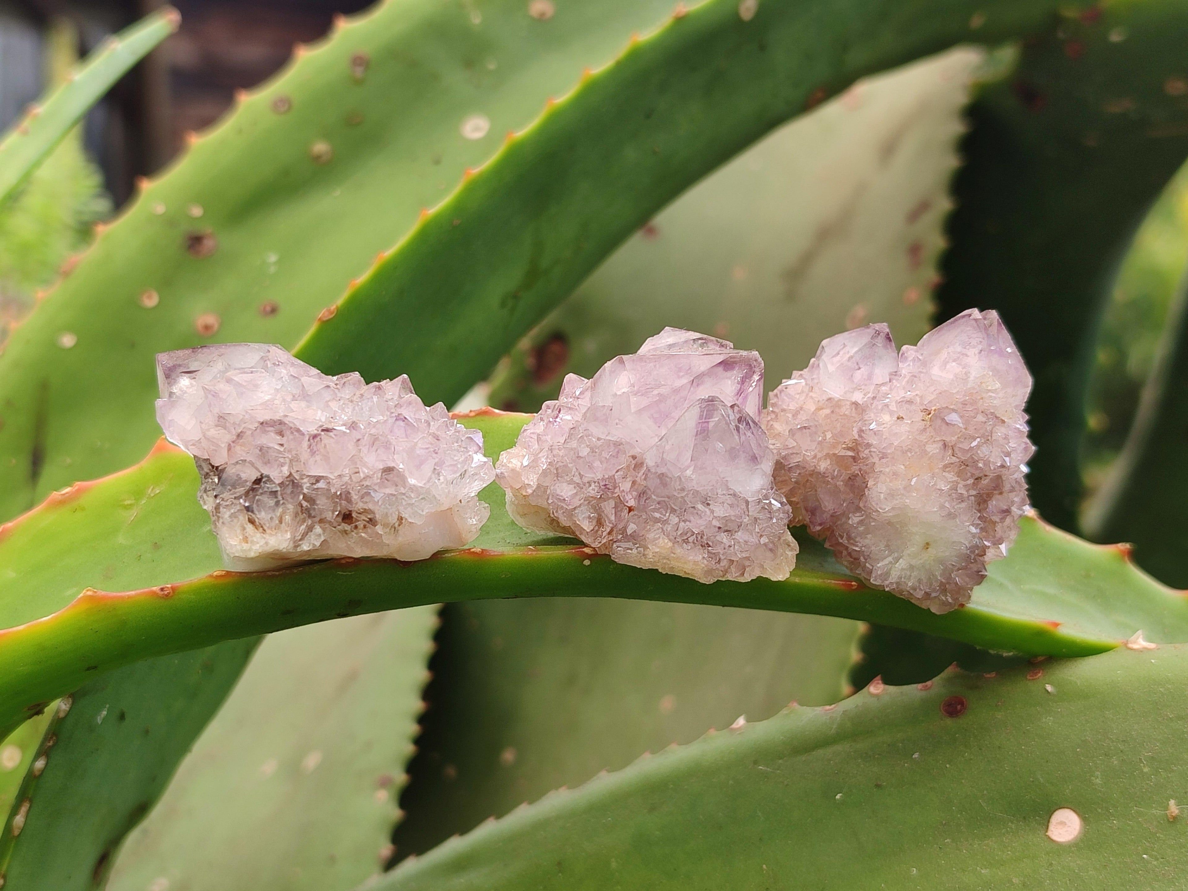 Natural Drusy Sunburst Spirit Clusters x 20 From Boekenhouthoek, South Africa