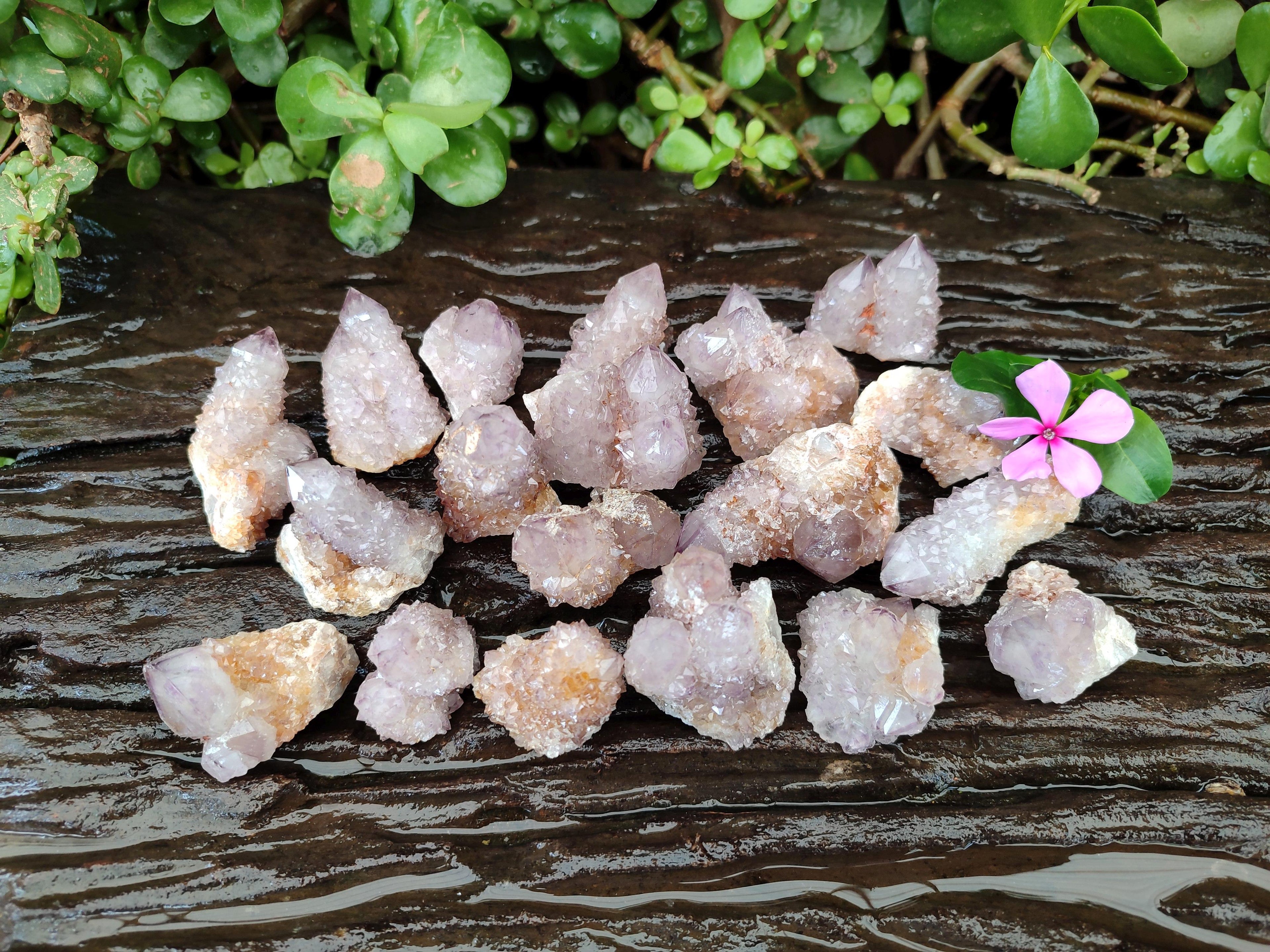 Natural Drusy Sunburst Spirit Clusters x 20 From Boekenhouthoek, South Africa