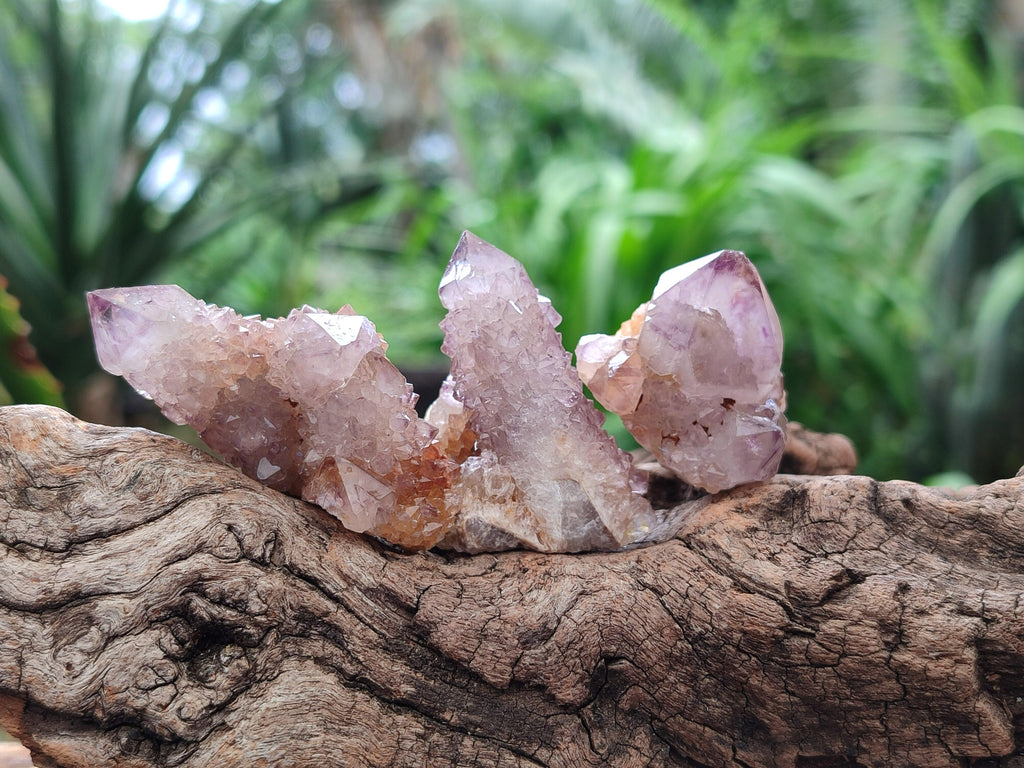 Natural Drusy Sunburst Spirit Clusters x 20 From Boekenhouthoek, South Africa