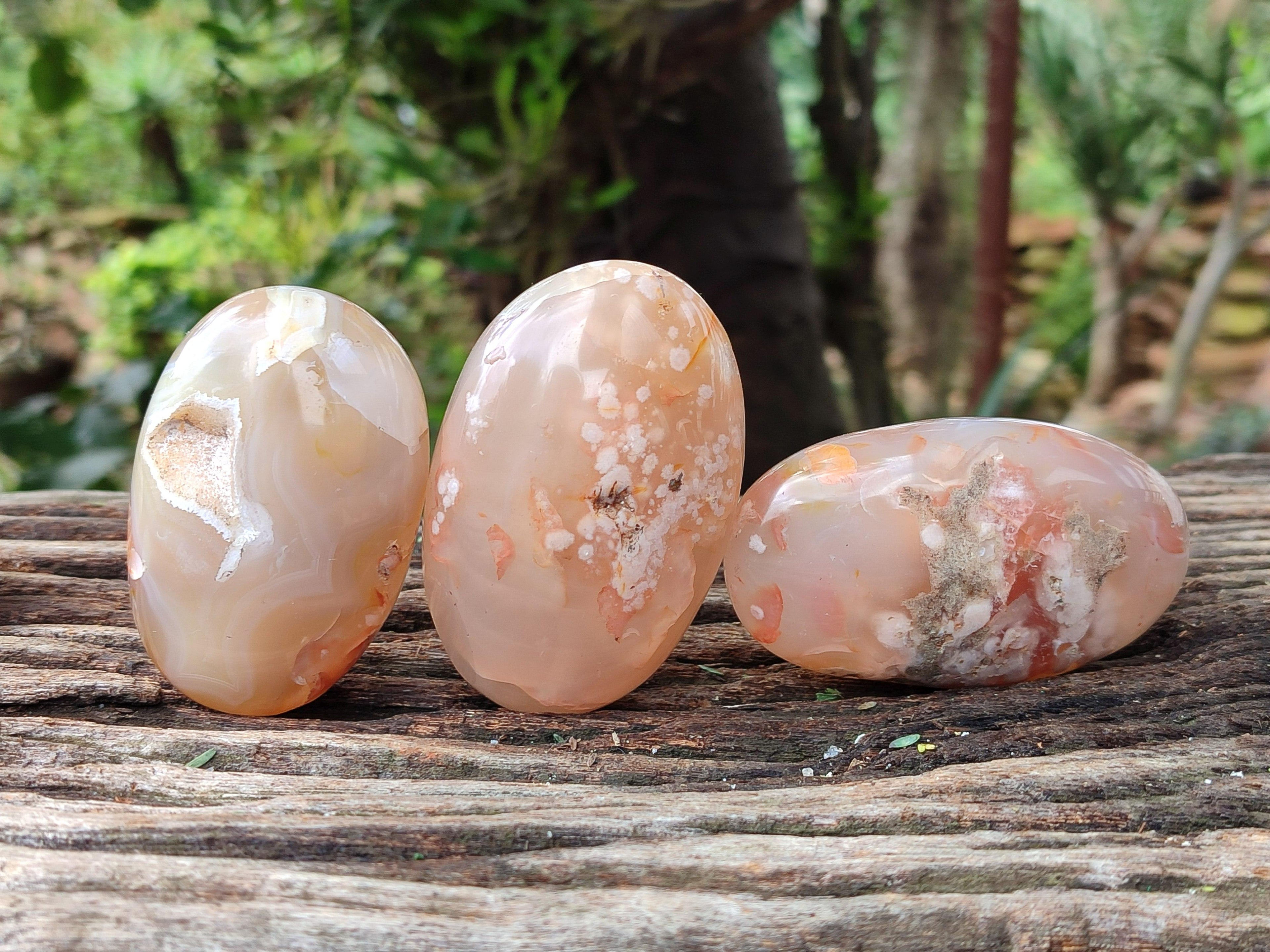 Polished Flower Agate Galets x 12 From Antsahalova, Madagascar