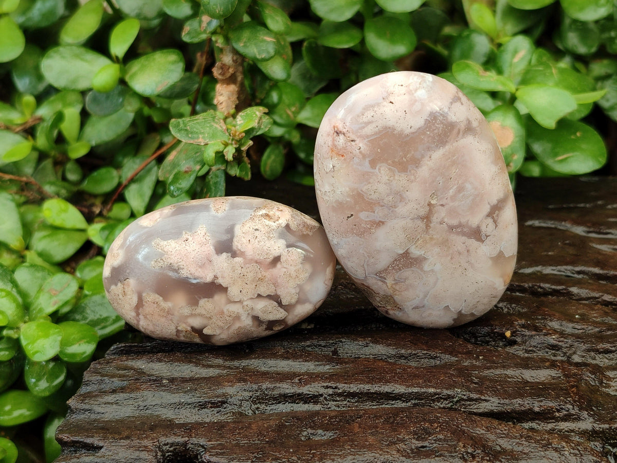 Polished Flower Agate Galets x 12 From Antsahalova, Madagascar