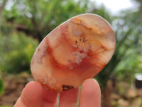 Polished Flower Agate Galets x 12 From Antsahalova, Madagascar