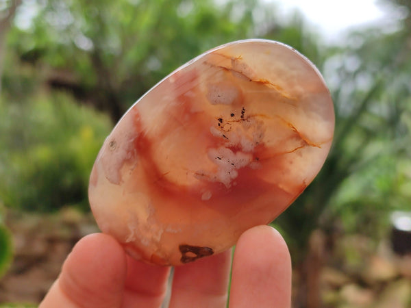 Polished Flower Agate Galets x 12 From Antsahalova, Madagascar