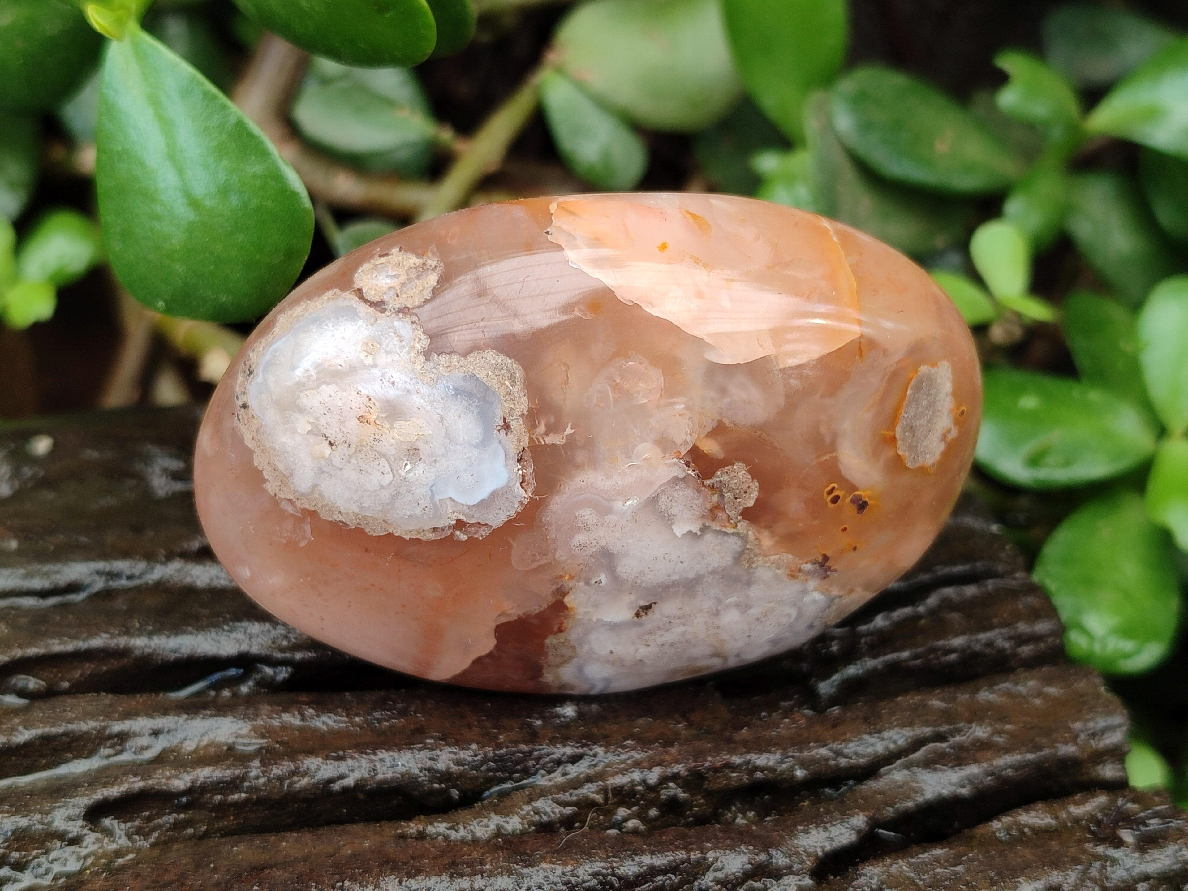 Polished Flower Agate Galets x 12 From Antsahalova, Madagascar