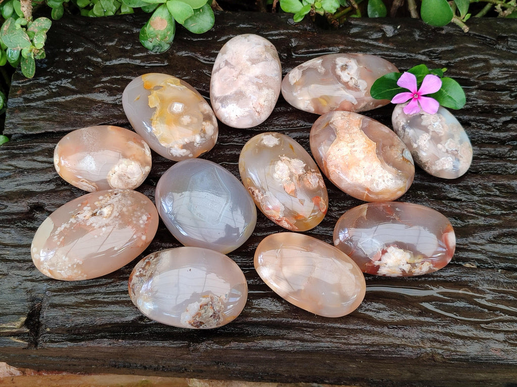 Polished Flower Agate Galets x 12 From Antsahalova, Madagascar