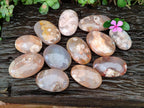Polished Flower Agate Galets x 12 From Antsahalova, Madagascar