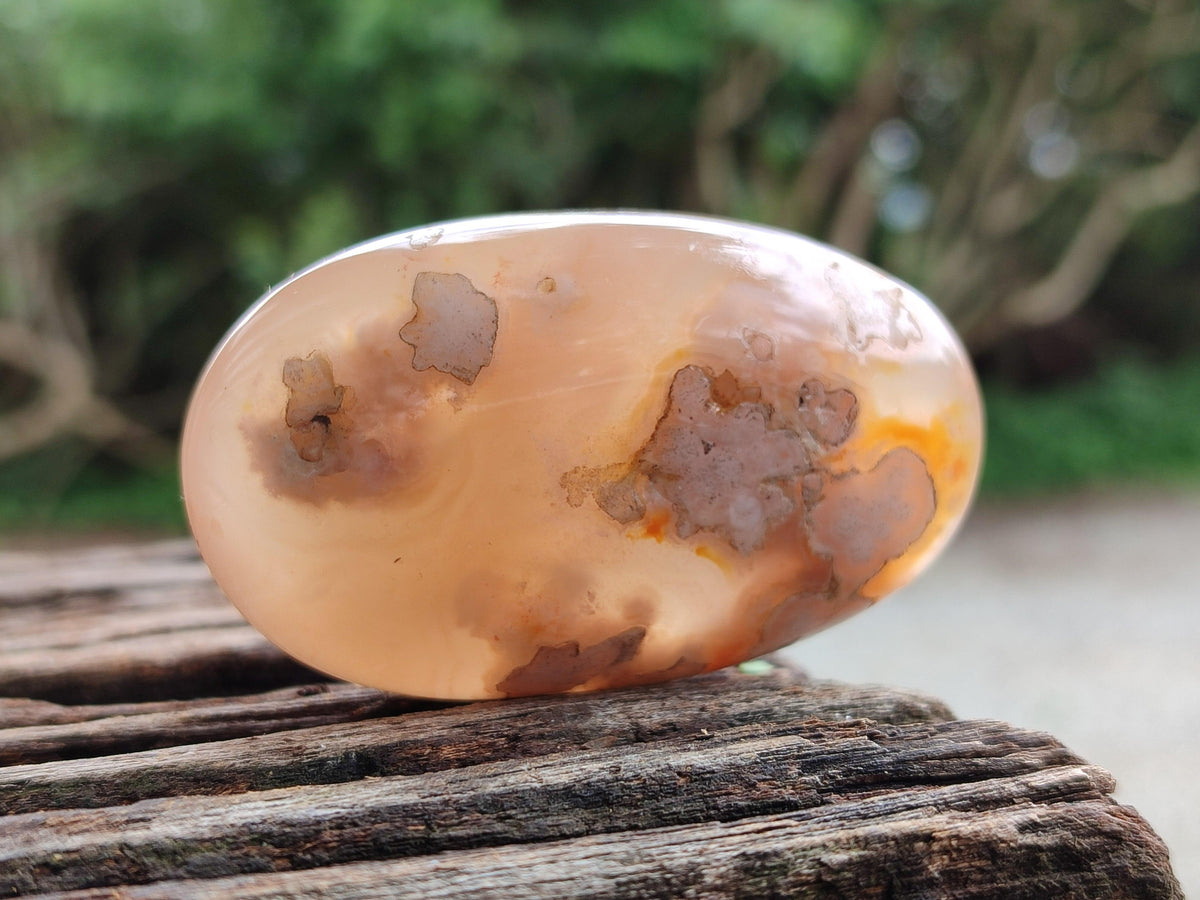 Polished Flower Agate Galets x 12 From Antsahalova, Madagascar