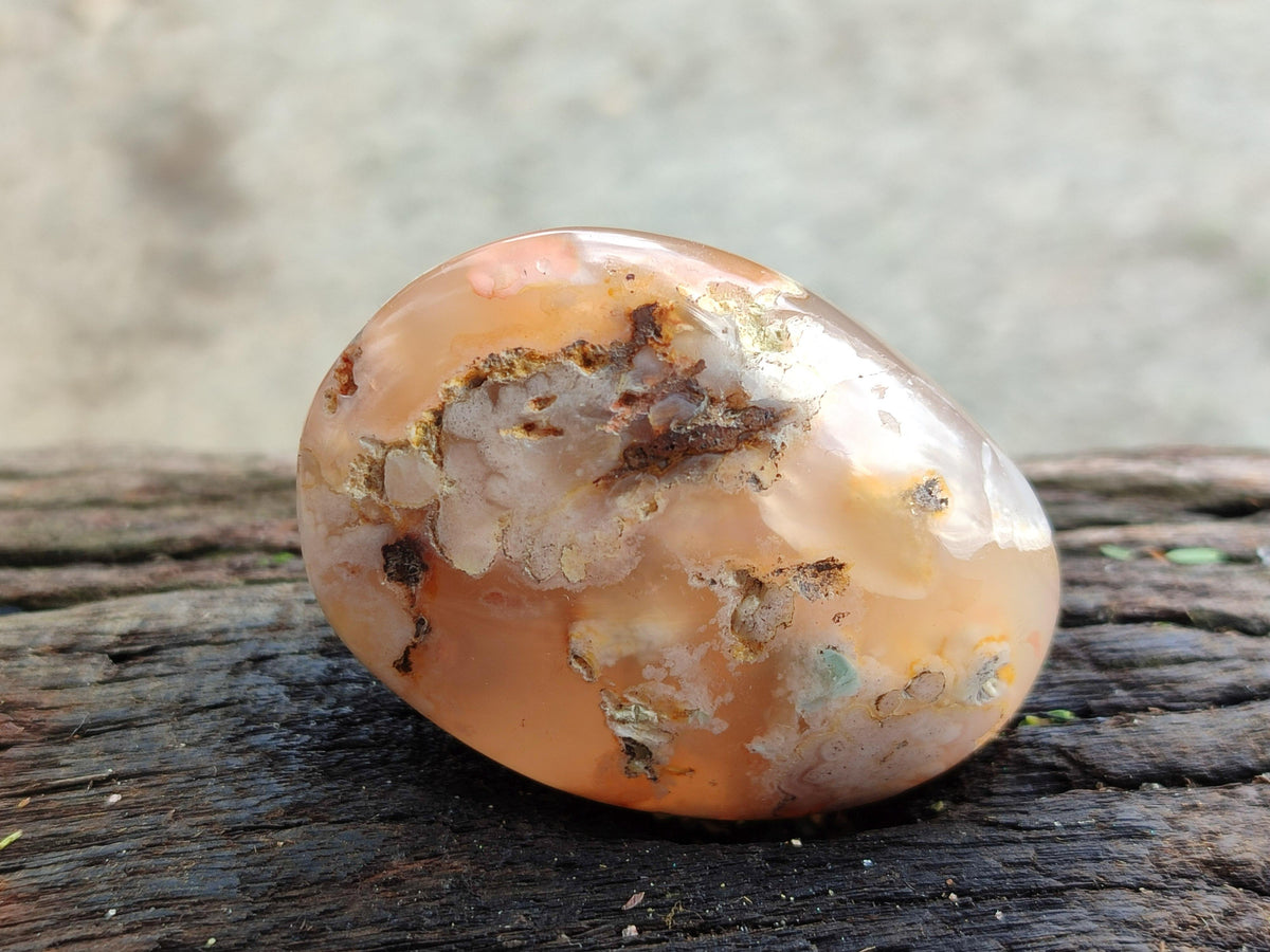 Polished Flower Agate Galets x 12 From Antsahalova, Madagascar