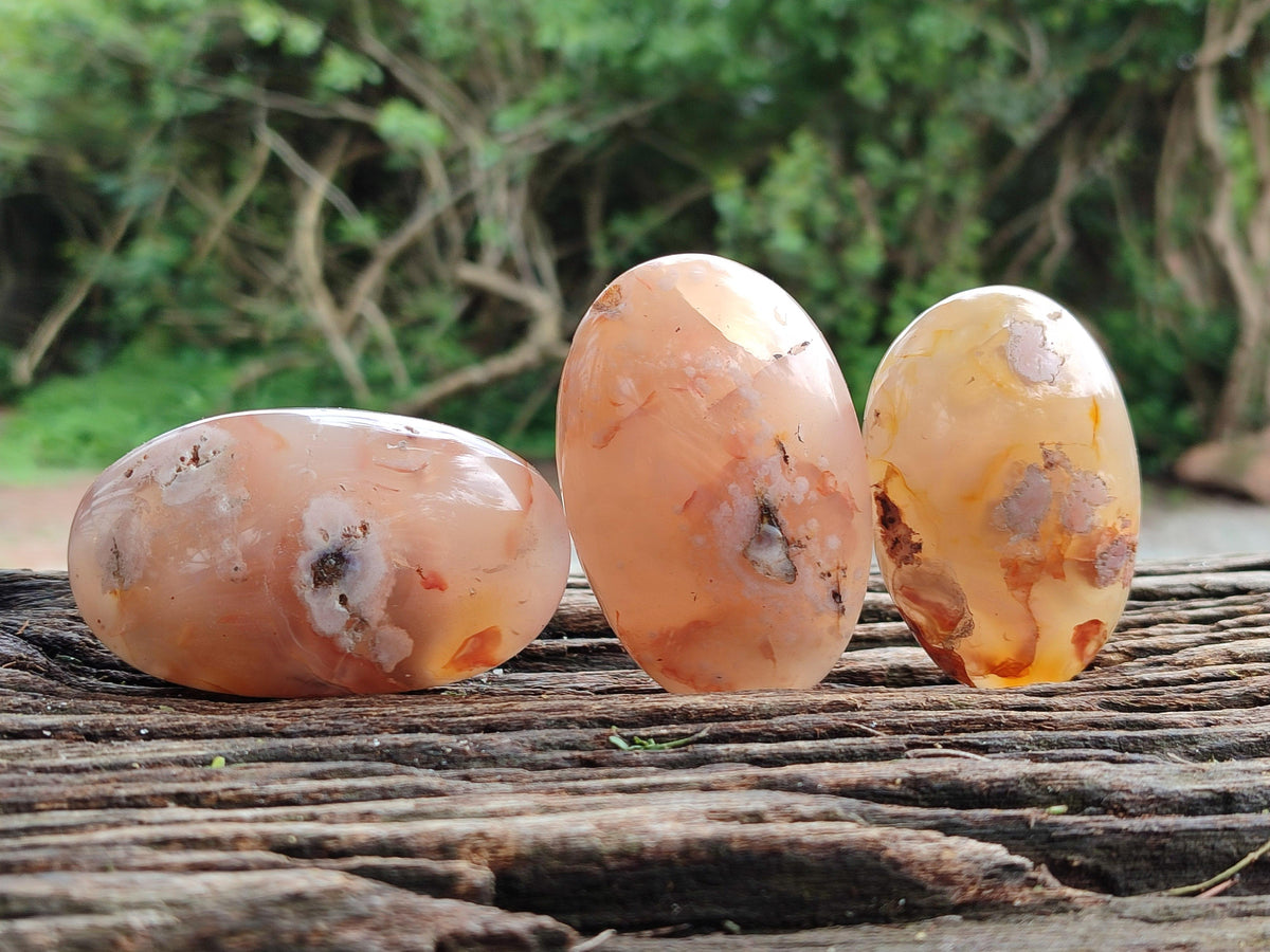Polished Flower Agate Galets x 12 From Antsahalova, Madagascar