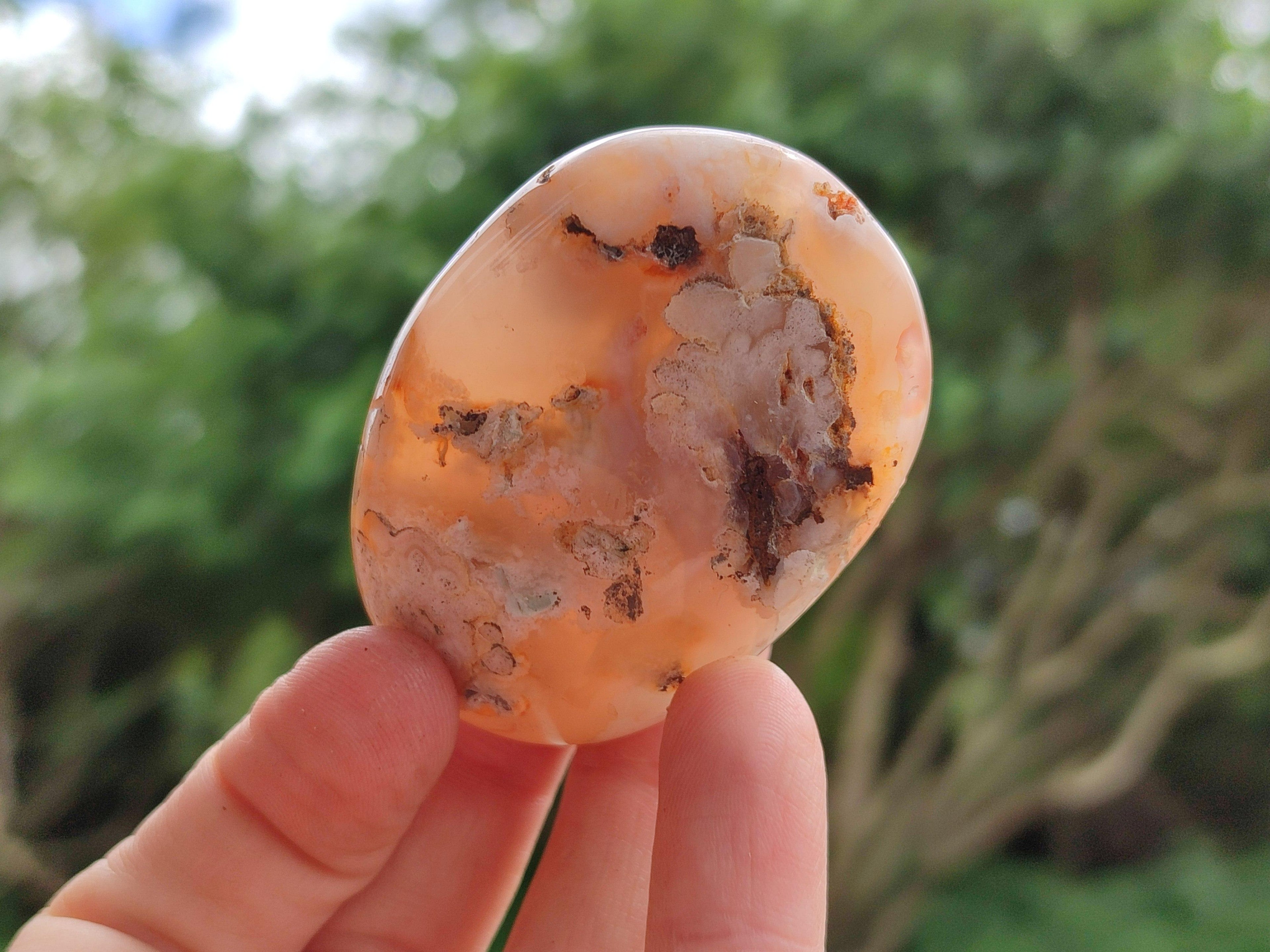 Polished Flower Agate Galets x 12 From Antsahalova, Madagascar