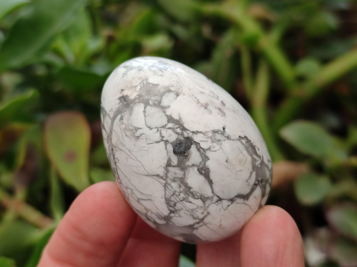 Polished Selected Mixed Mineral and Crystal Eggs x 20 From Zimbabwe