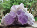 Natural Jacaranda Amethyst Clusters x 2 From Mumbwa, Zambia