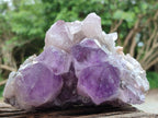 Natural Jacaranda Amethyst Clusters x 2 From Mumbwa, Zambia