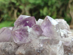 Natural Jacaranda Amethyst Clusters x 2 From Mumbwa, Zambia