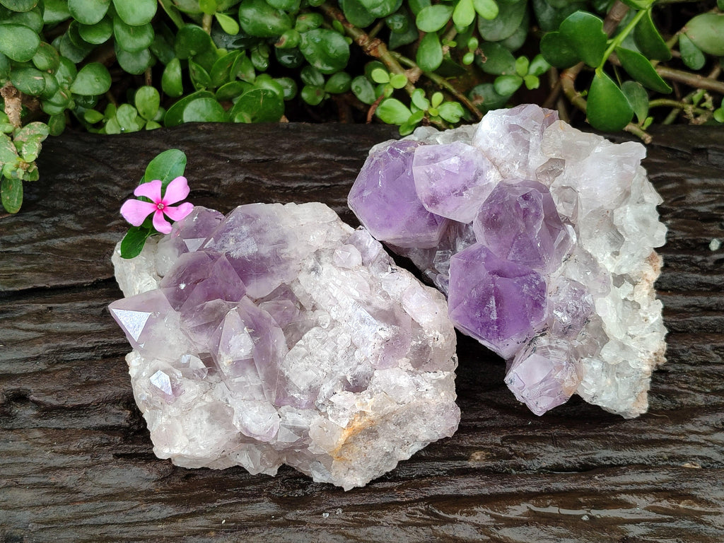 Natural Jacaranda Amethyst Clusters x 2 From Mumbwa, Zambia