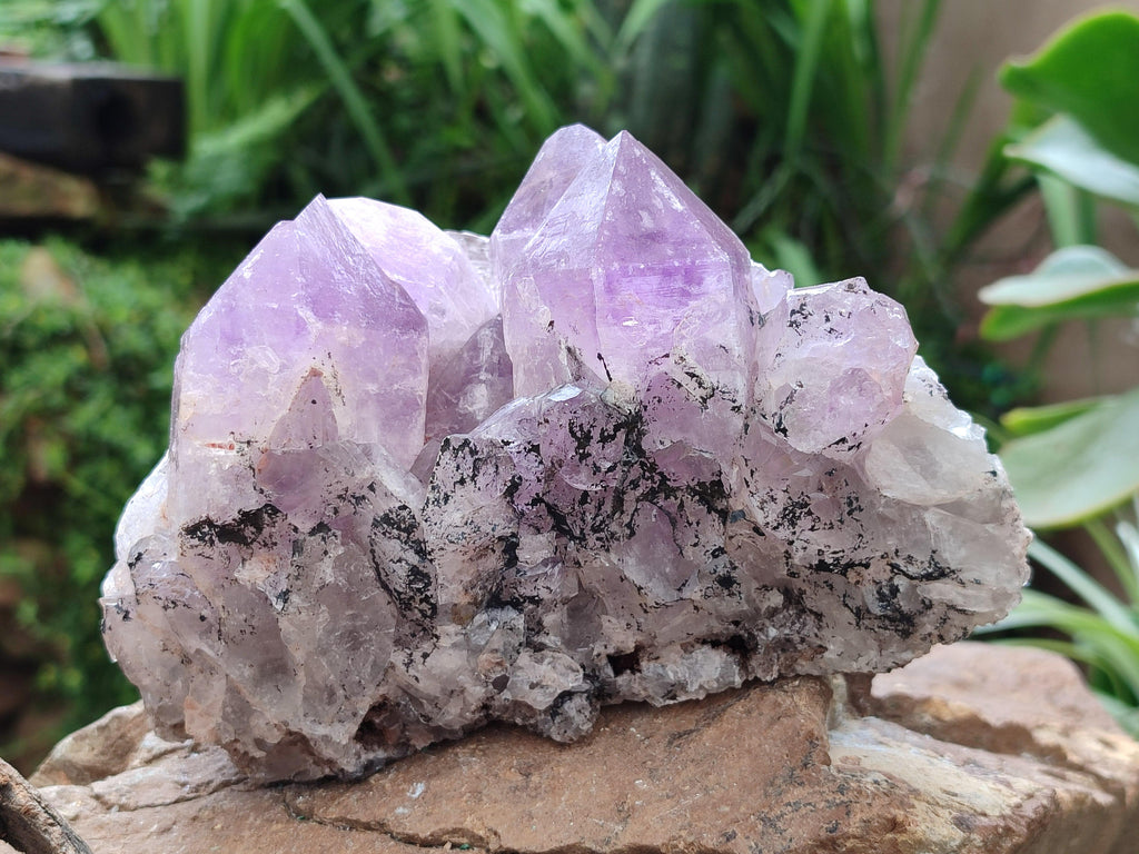 Natural Jacaranda Amethyst Clusters x 2 From Mumbwa, Zambia