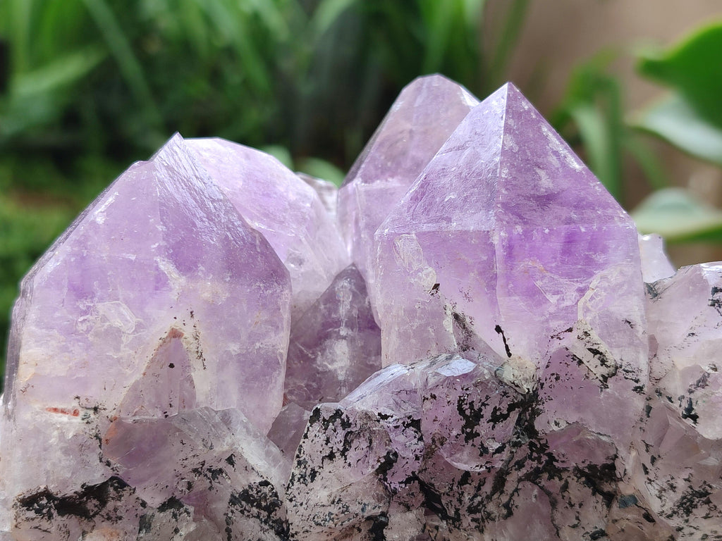 Natural Jacaranda Amethyst Clusters x 2 From Mumbwa, Zambia