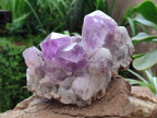 Natural Jacaranda Amethyst Clusters x 2 From Mumbwa, Zambia