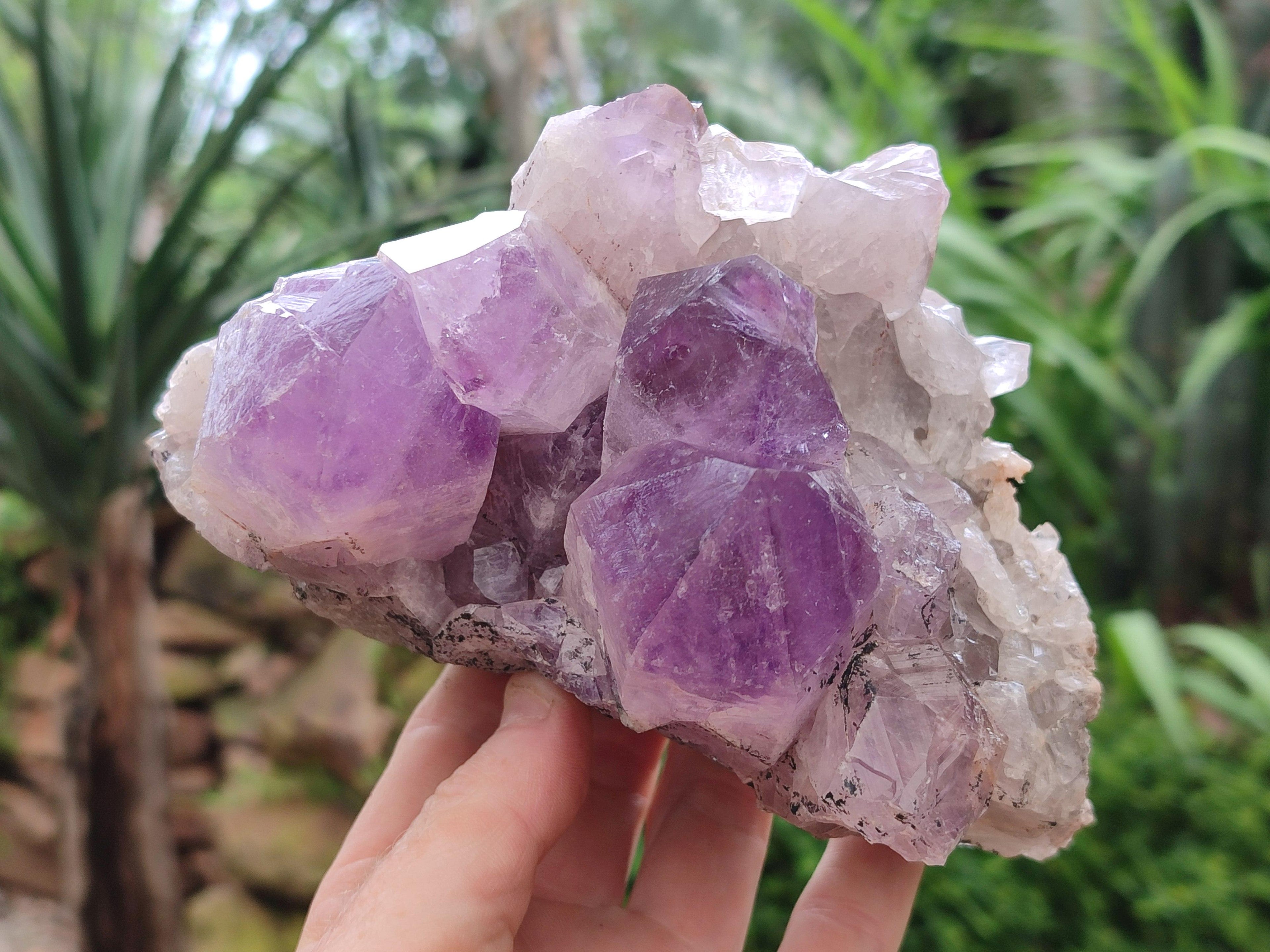 Natural Jacaranda Amethyst Clusters x 2 From Mumbwa, Zambia
