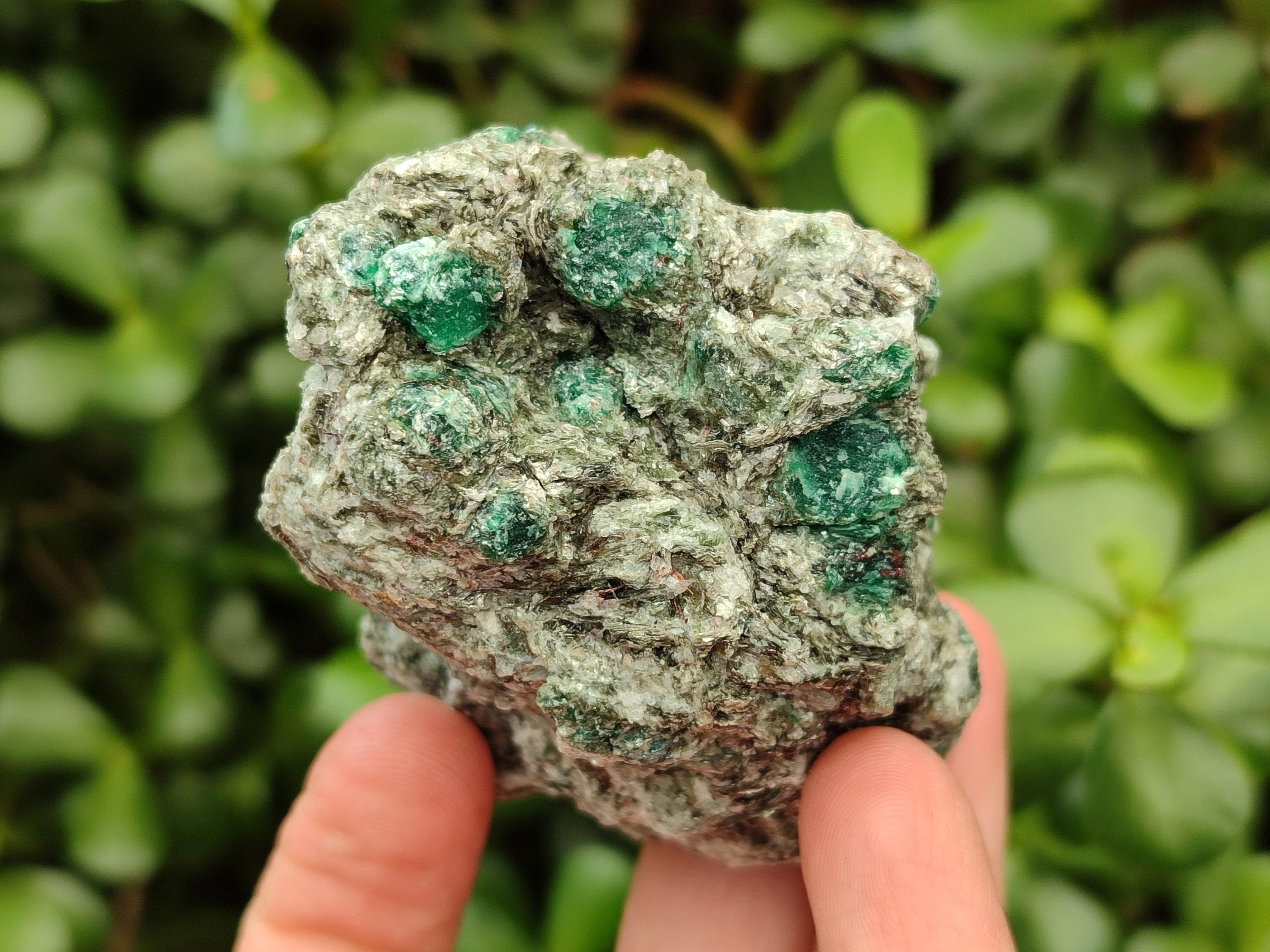 Natural Emerald Mica 'Mutokolite' Cobbed Specimens x 6 From Mutoko, Zimbabwe