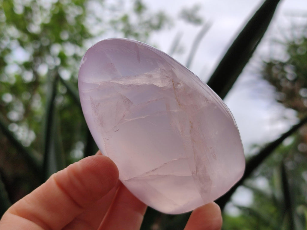 Polished Rose Quartz Standing Free Forms x 6 From Madagascar
