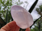 Polished Rose Quartz Standing Free Forms x 6 From Madagascar