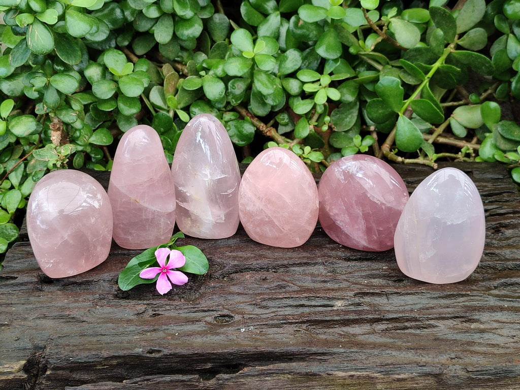 Polished Rose Quartz Standing Free Forms x 6 From Madagascar