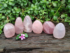 Polished Rose Quartz Standing Free Forms x 6 From Madagascar