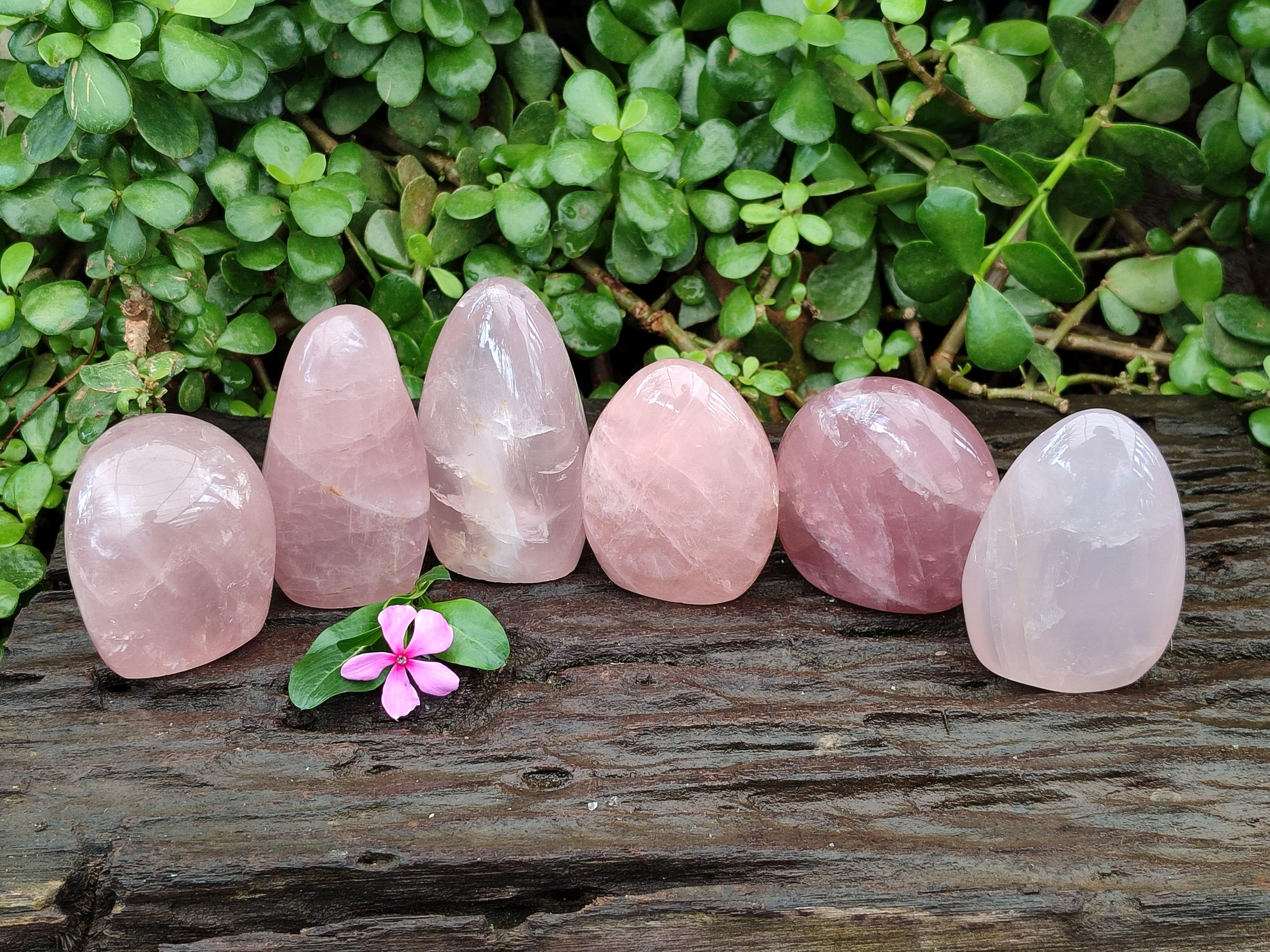 Polished Rose Quartz Standing Free Forms x 6 From Madagascar