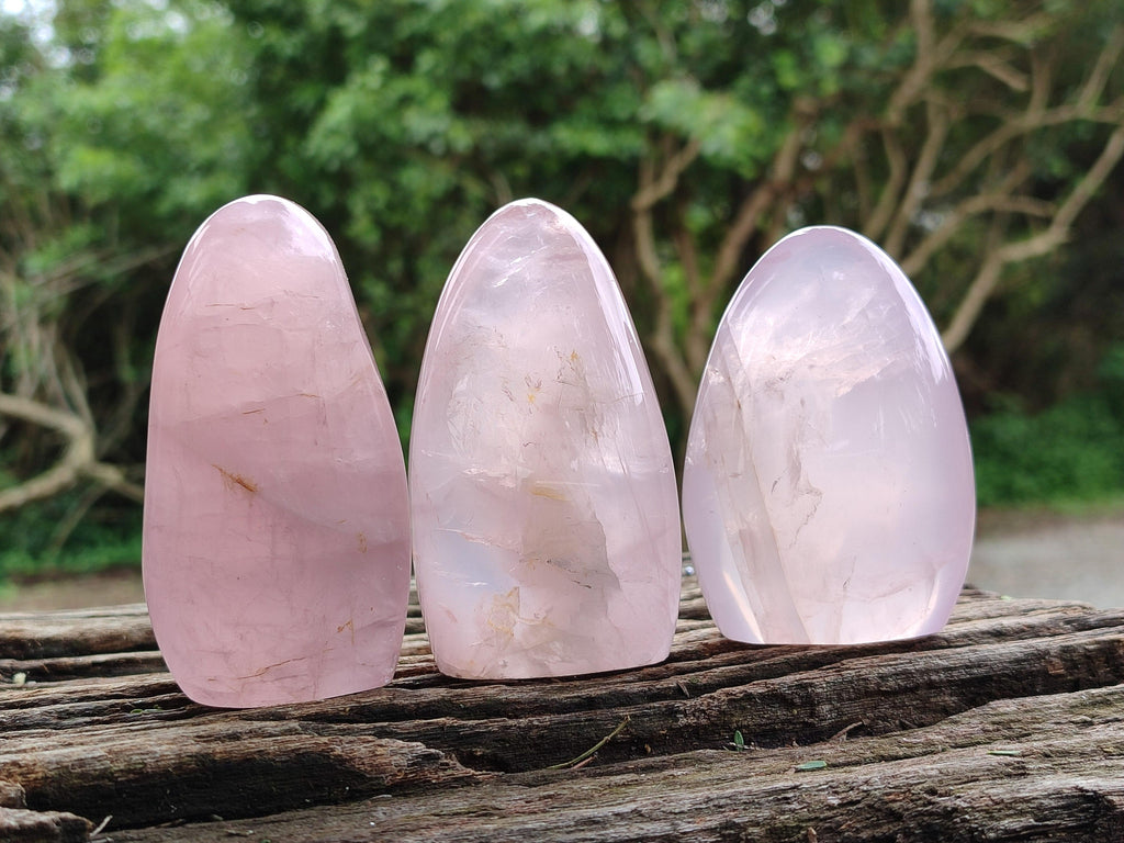 Polished Rose Quartz Standing Free Forms x 6 From Madagascar