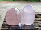Polished Rose Quartz Standing Free Forms x 6 From Madagascar