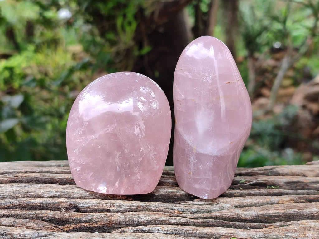 Polished Rose Quartz Standing Free Forms x 6 From Madagascar