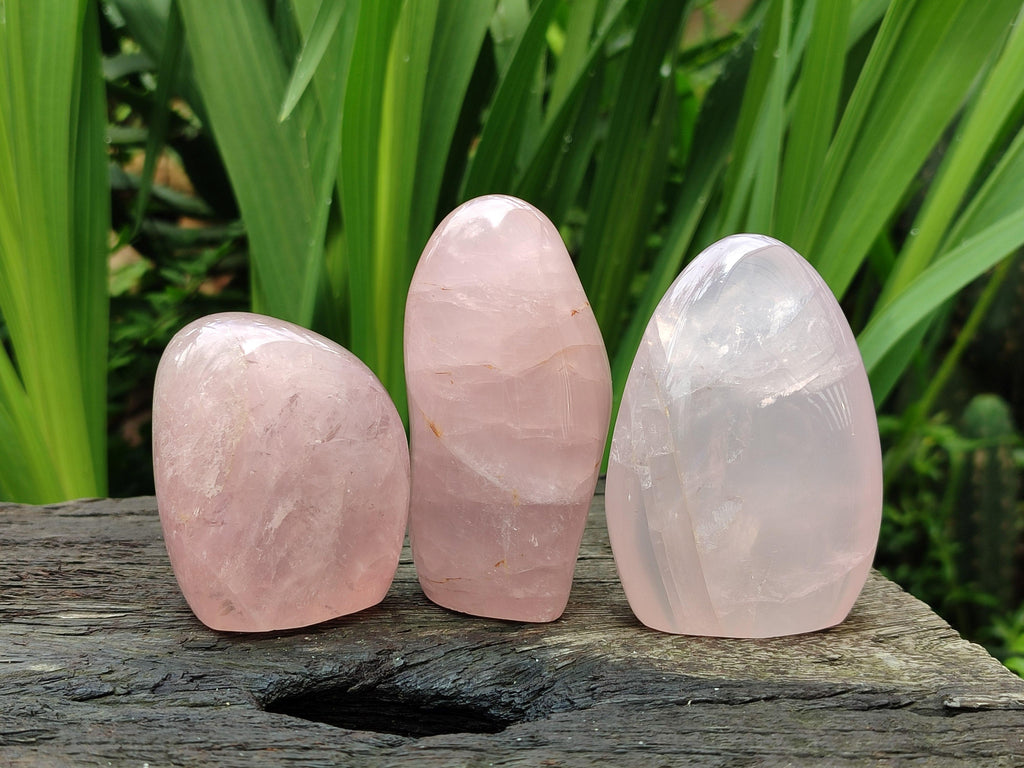 Polished Rose Quartz Standing Free Forms x 6 From Madagascar