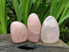 Polished Rose Quartz Standing Free Forms x 6 From Madagascar