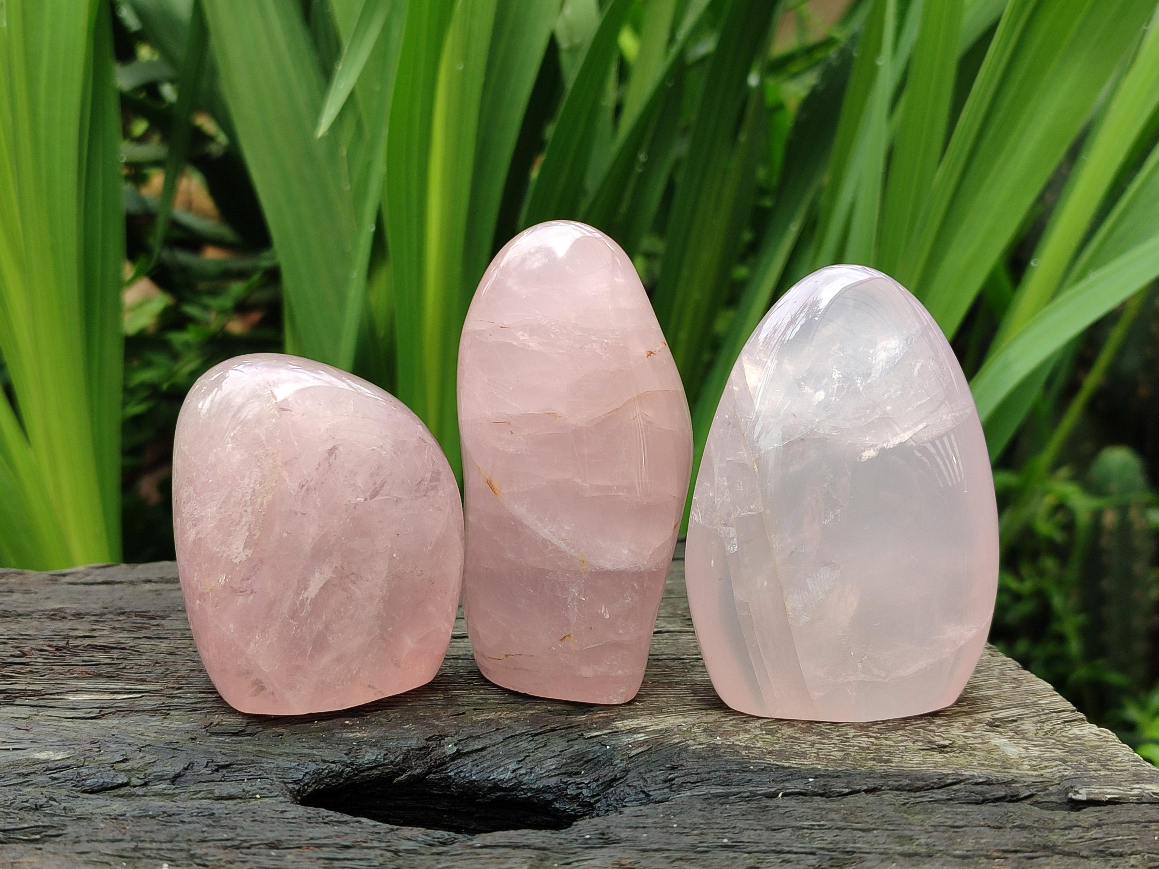 Polished Rose Quartz Standing Free Forms x 6 From Madagascar