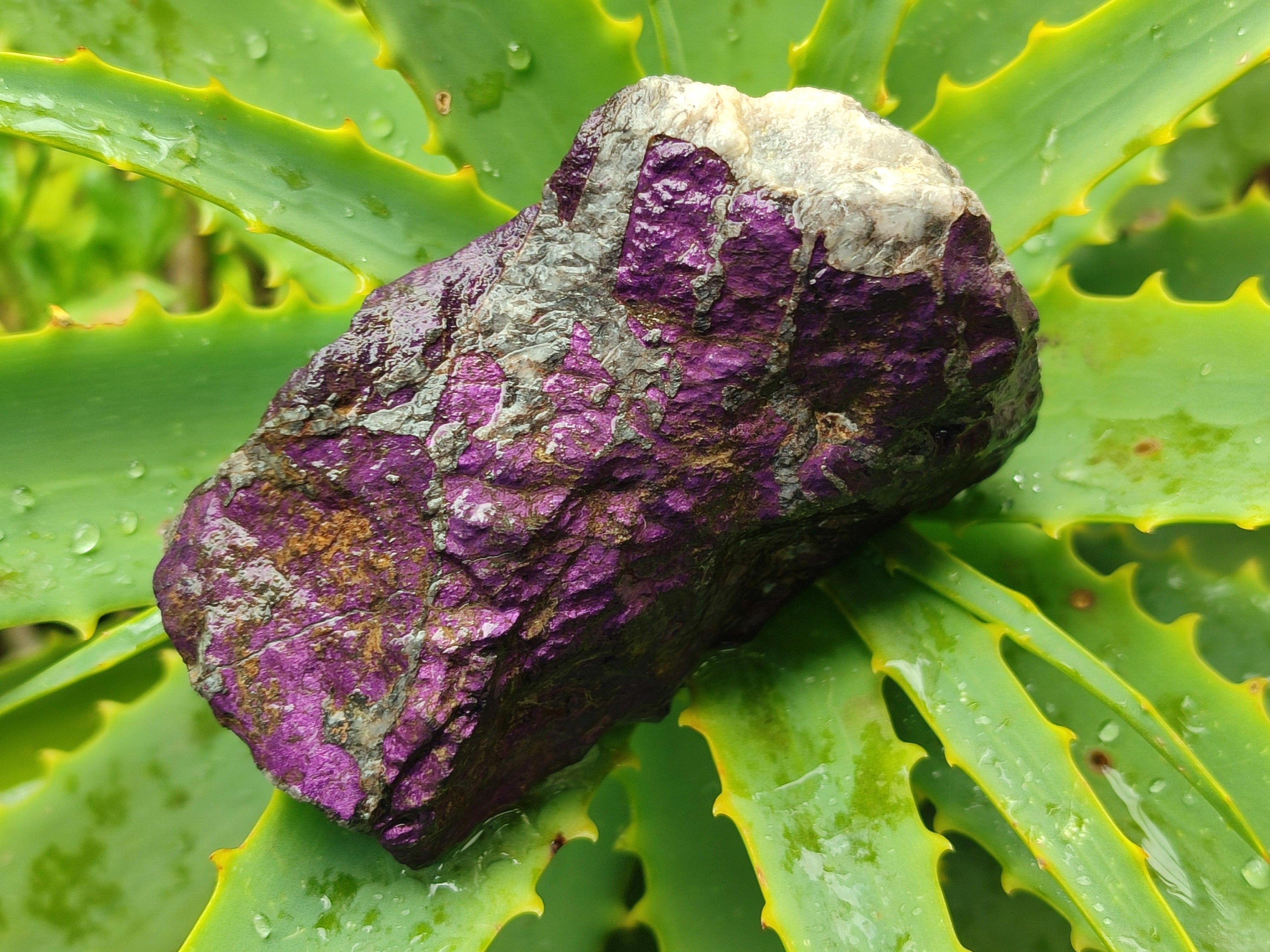 Natural Metallic Purpurite Specimens x 6 From Erongo, Namibia
