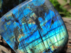 Polished Labradorite Standing Free Forms x 2 From Tulear, Madagascar