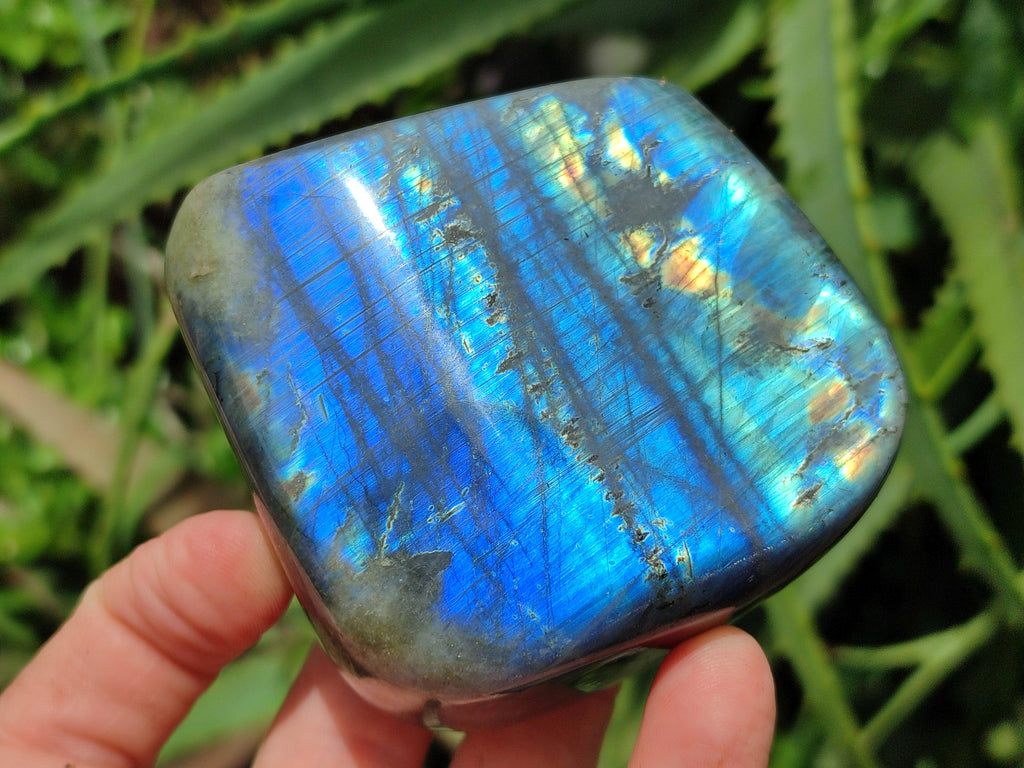 Polished Labradorite Standing Free Forms x 2 From Tulear, Madagascar