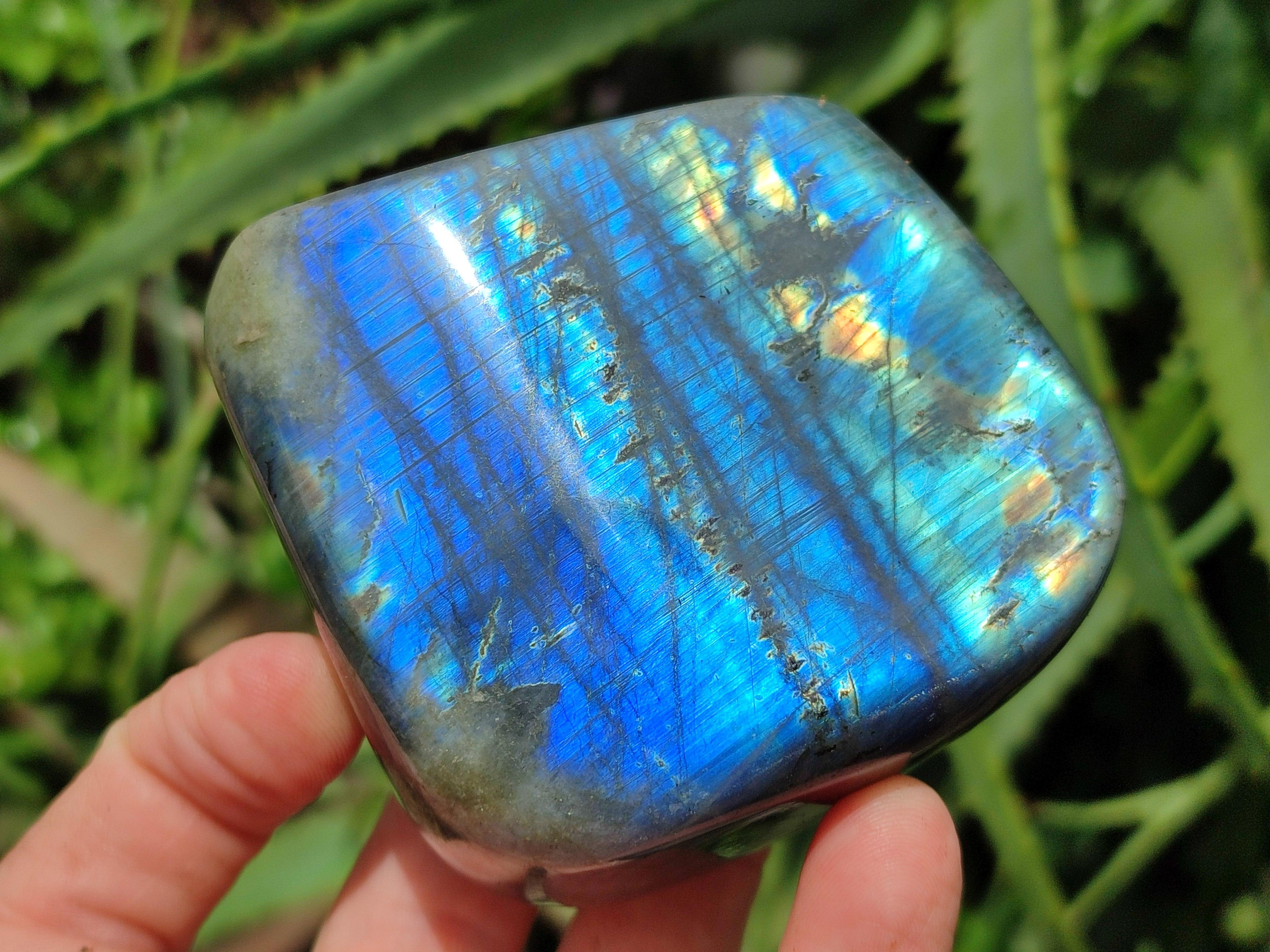 Polished Labradorite Standing Free Forms x 2 From Tulear, Madagascar