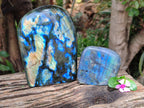 Polished Labradorite Standing Free Forms x 2 From Tulear, Madagascar