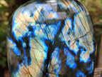 Polished Labradorite Standing Free Forms x 2 From Tulear, Madagascar