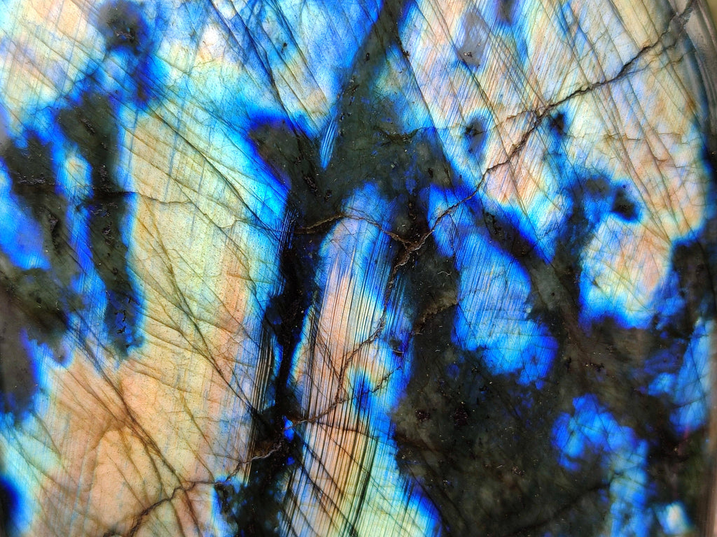 Polished Labradorite Standing Free Forms x 2 From Tulear, Madagascar