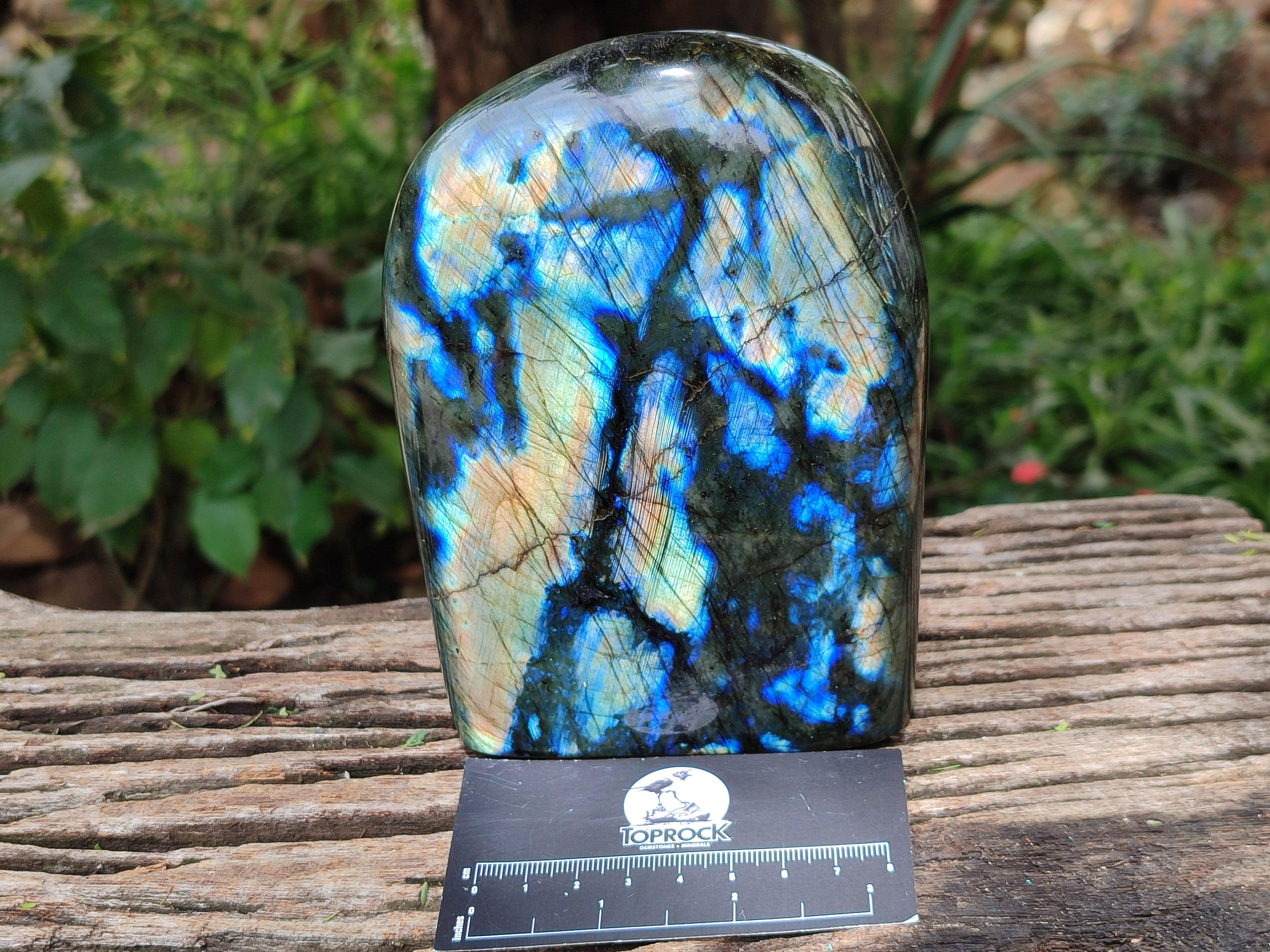 Polished Labradorite Standing Free Forms x 2 From Tulear, Madagascar