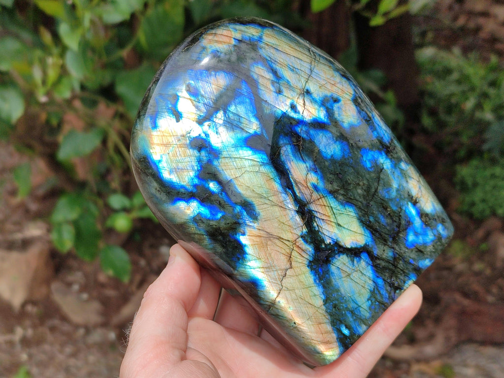 Polished Labradorite Standing Free Forms x 2 From Tulear, Madagascar