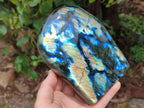 Polished Labradorite Standing Free Forms x 2 From Tulear, Madagascar